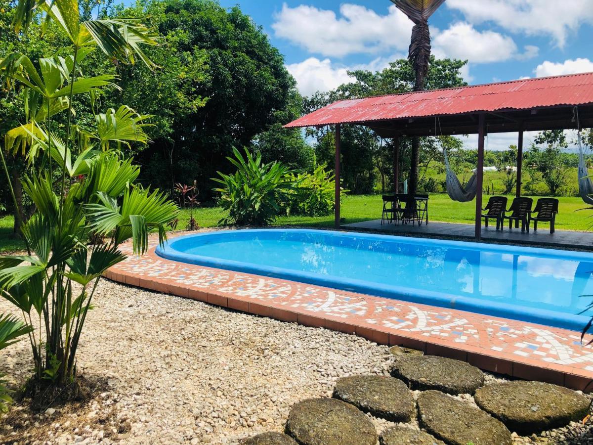 Hotel Cocodrilo Sierpe Exteriér fotografie