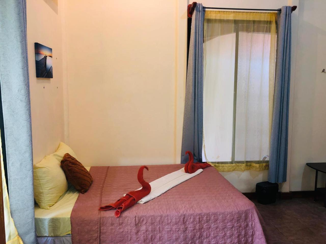 Hotel Cocodrilo Sierpe Exteriér fotografie